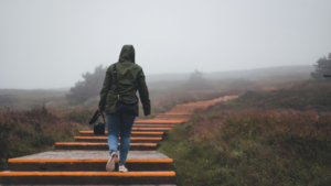 What Is Data Analysis in Qualitative Research? Methods, Examples, and Step-by-Step Process