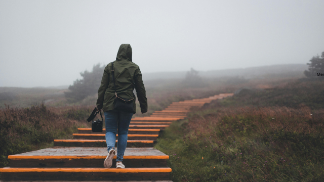 What Is Data Analysis in Qualitative Research? Methods, Examples, and Step-by-Step Process