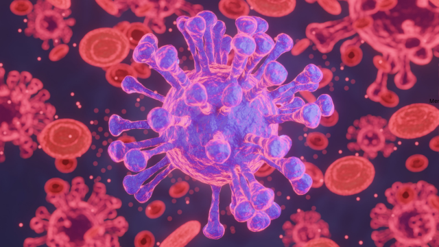 what are computer viruses and its types? And their types