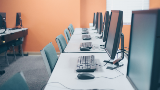 What Are Common Computer Viruses You Should Know About?