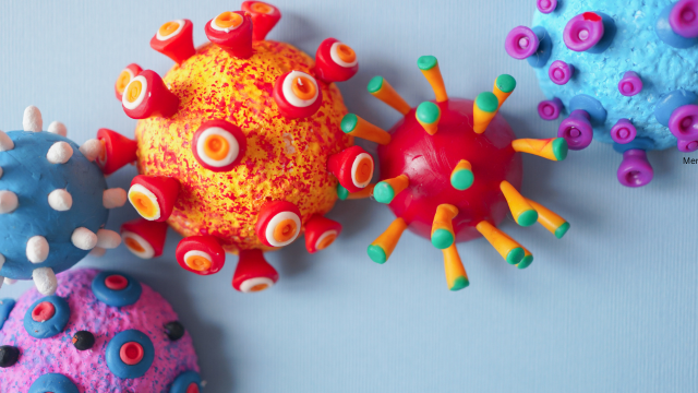 What Are Computer Viruses Made Of?