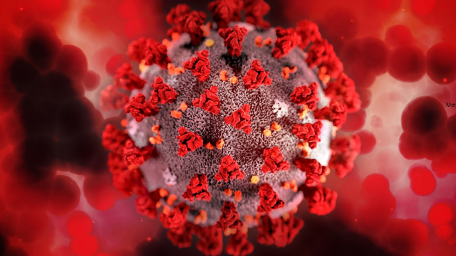 How Do Computer Viruses Spread?