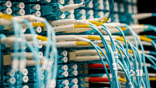 How Fast Do Computer Viruses Spread Across Networks?