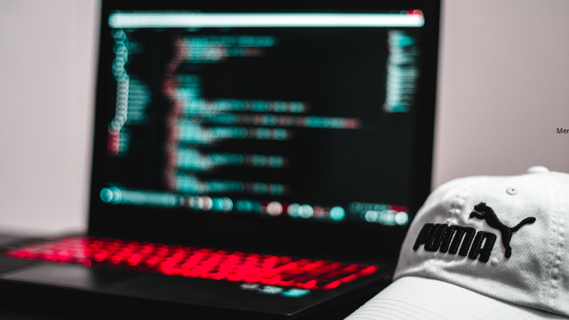 What Is Anti-Malware Software?