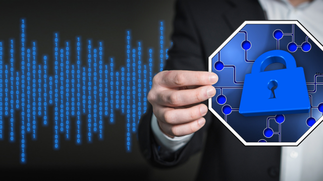 The Complete Beginner's Guide to Cyber Security Careers