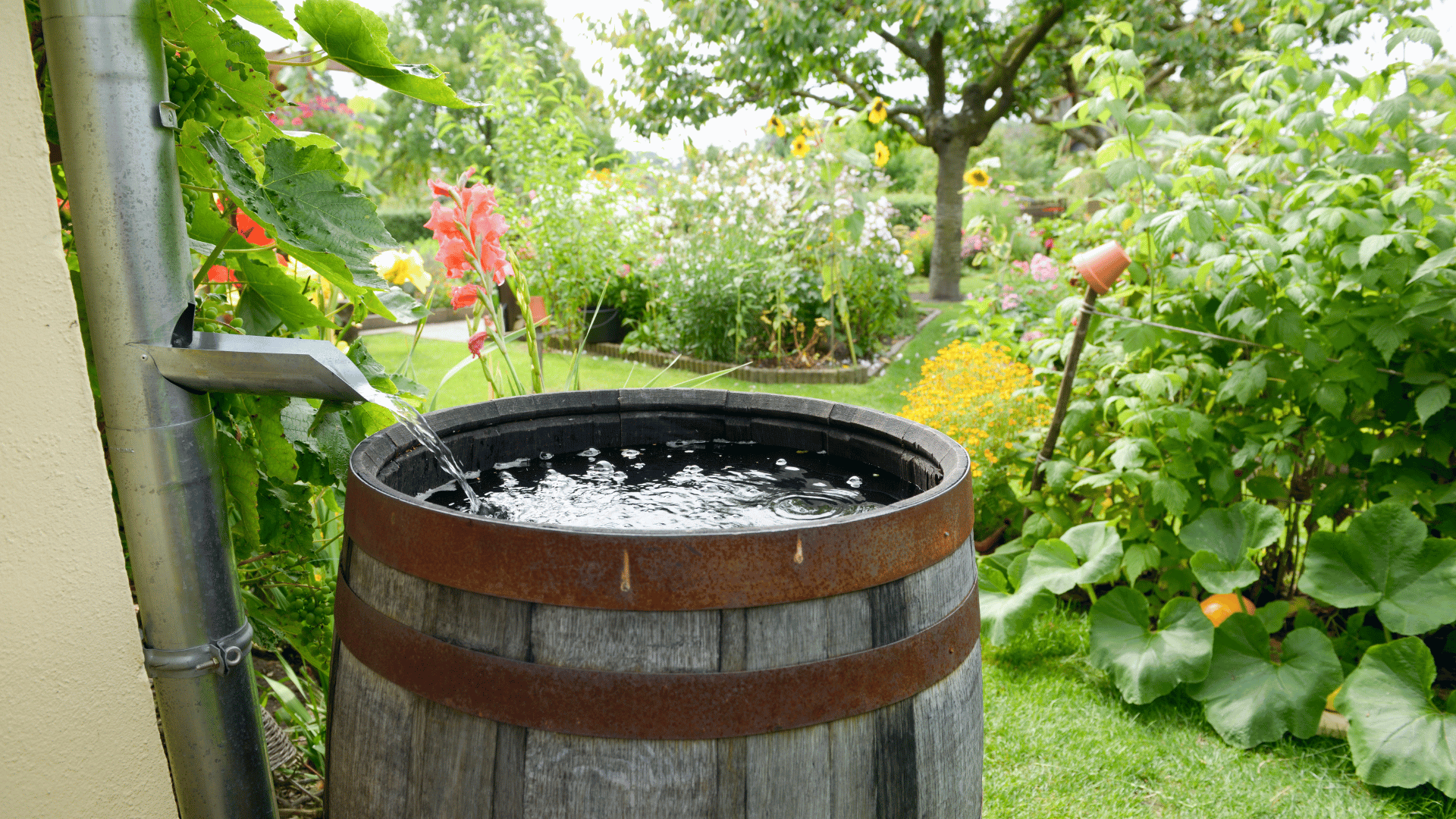 DIY Rain Barrel Construction and Water Conservation Methods