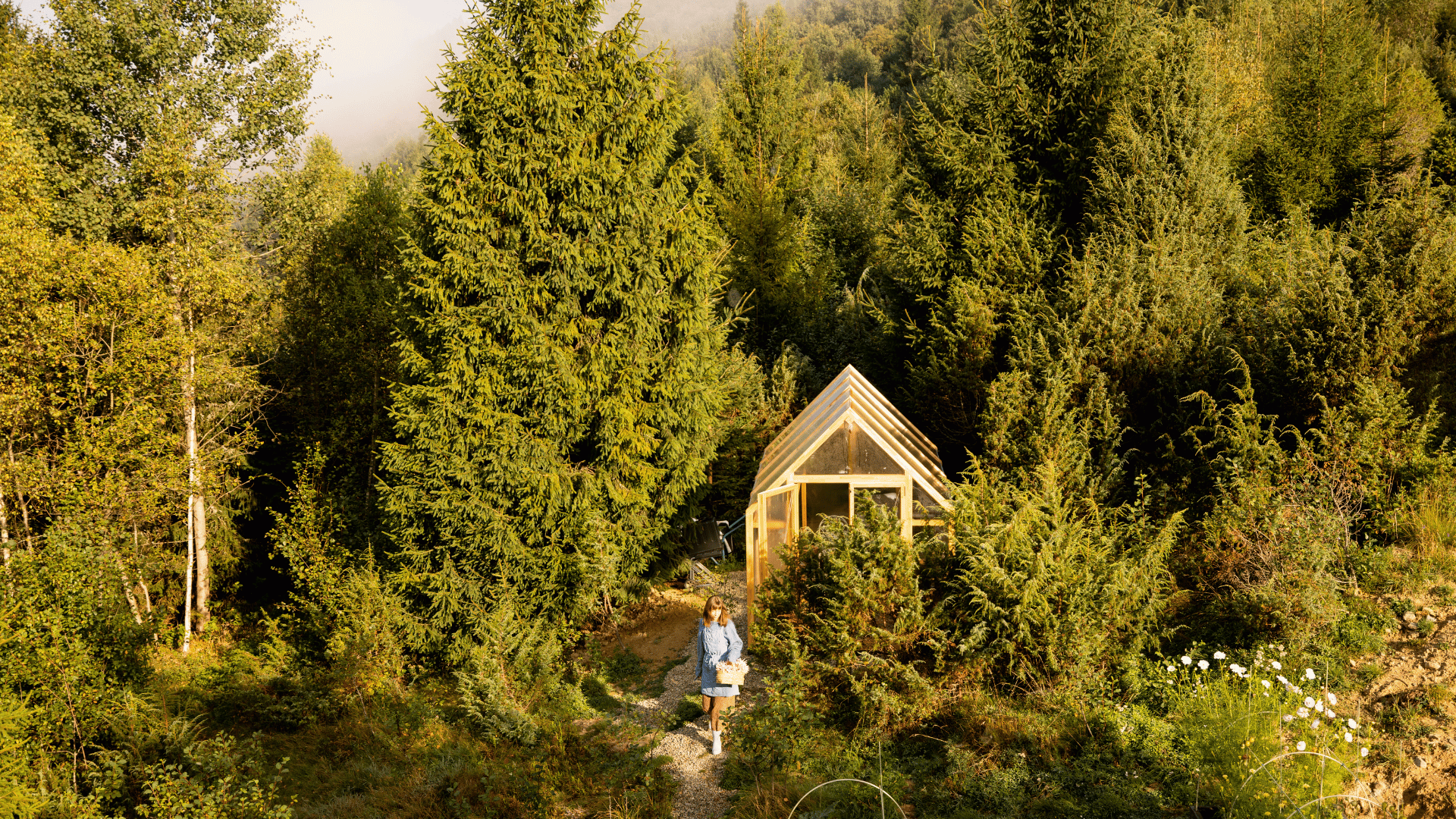 Tiny Forest Creation and Sustainable Gardening Practices