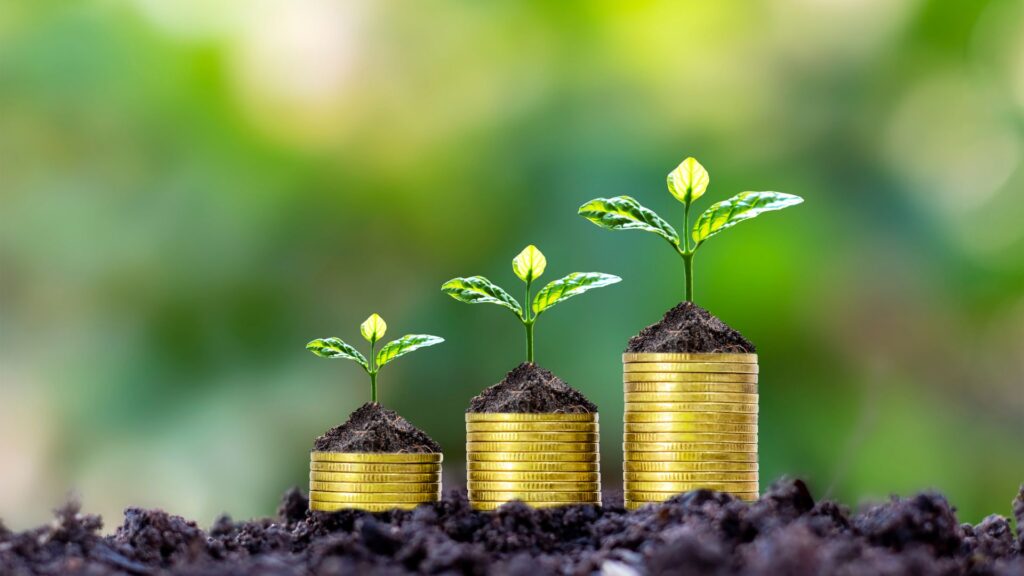 Entrepreneurial Financial Management: Building a Profitable Business